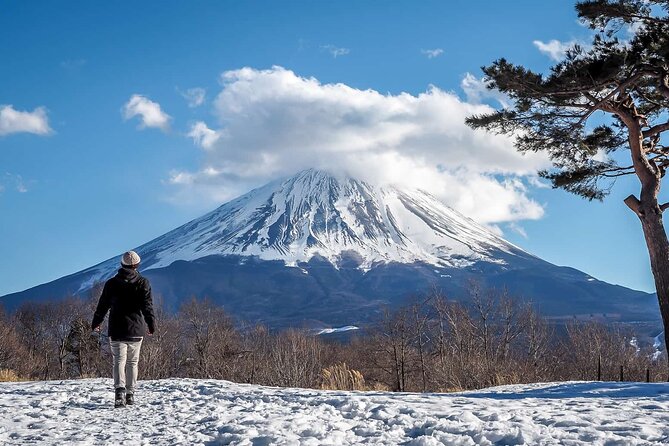 Mt Fuji Private Trip With English Speaking Driver - Frequently Asked Questions