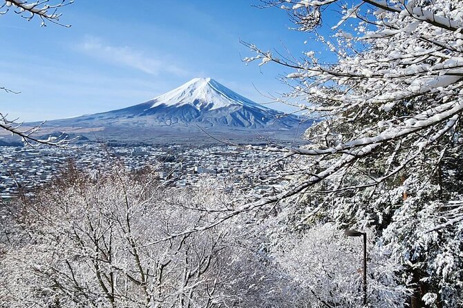 Private One Day Tour Mount Fuji With English Speaking Driver - Key Takeaways