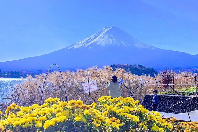 Private One Day Tour Mount Fuji With English Speaking Driver - Pickup Information