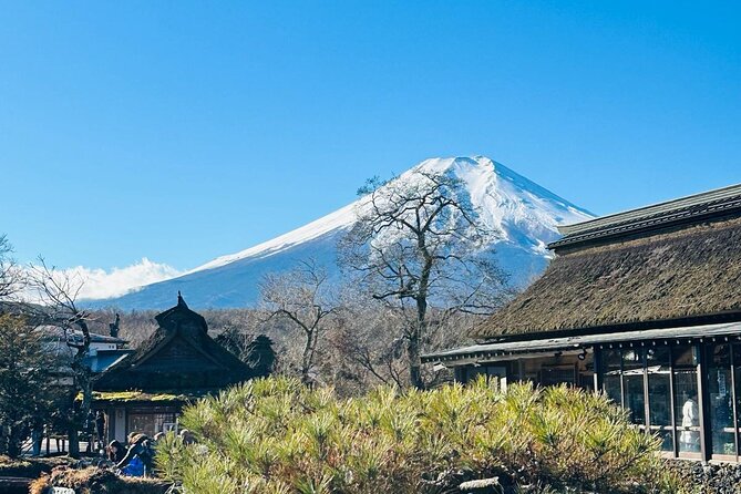 Private One Day Tour Mount Fuji With English Speaking Driver - Price and Booking