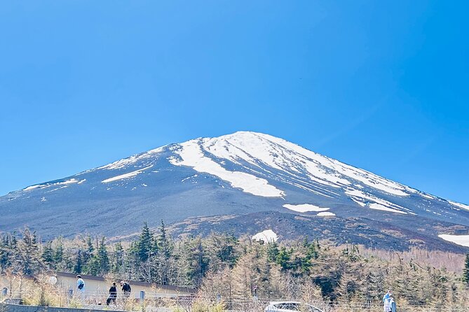 Private One Day Tour Mount Fuji With English Speaking Driver - Frequently Asked Questions