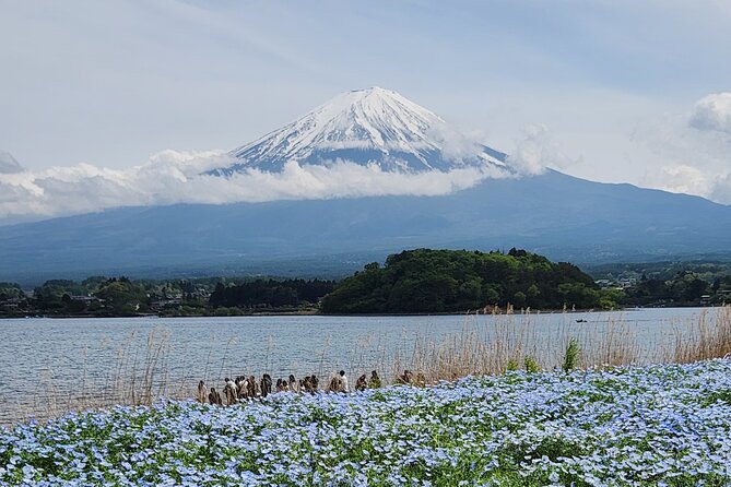 Private One Day Tour Mount Fuji With English Speaking Driver - Directions