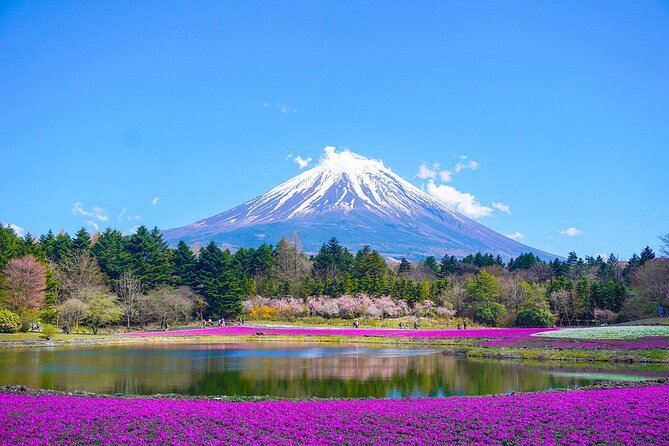 Mount Fuji/Hakone/Tokyo Private Charter Car Tour 10 Hours - Pricing and Lowest Price Guarantee