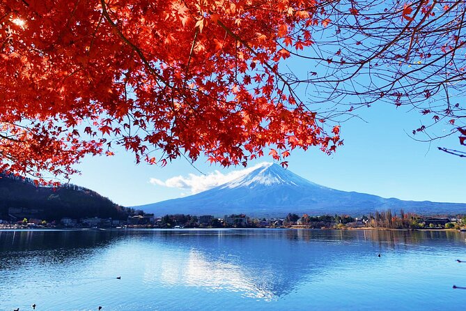 Mount Fuji/Hakone/Tokyo Private Charter Car Tour 10 Hours - Tour Duration and Usage Time