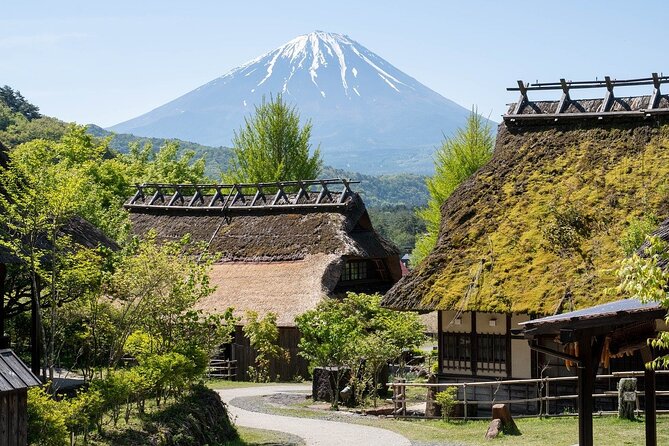 Mount Fuji/Hakone/Tokyo Private Charter Car Tour 10 Hours - Weather-Dependent Experience