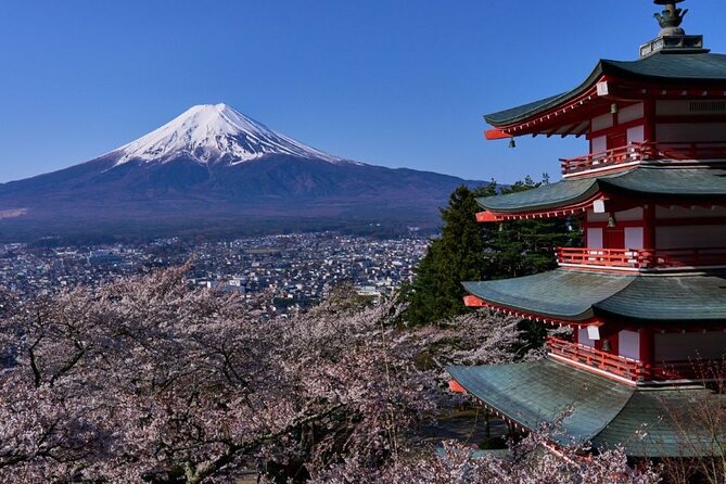 Private Tour to Mount Fuji With an English Driver From Tokyo - Key Takeaways