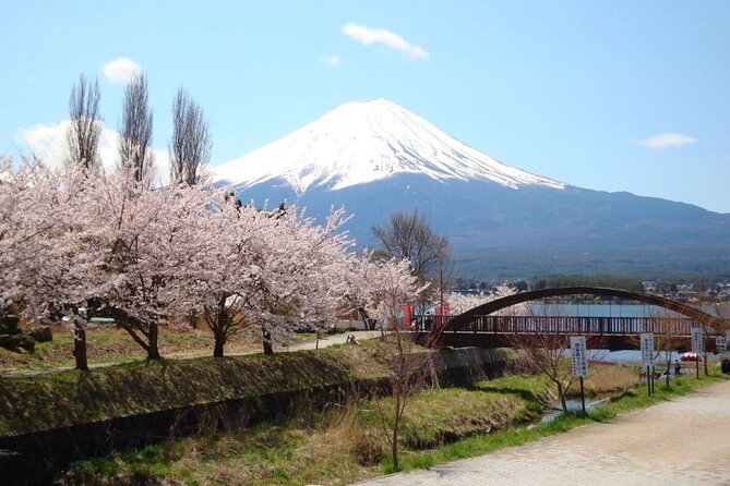 Private Tour to Mount Fuji With an English Driver From Tokyo - Directions and Booking Process