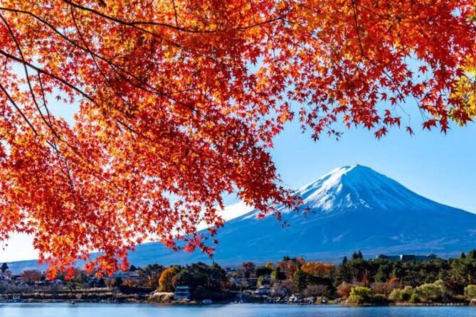 Private Tour to Mount Fuji With an English Driver From Tokyo - Frequently Asked Questions