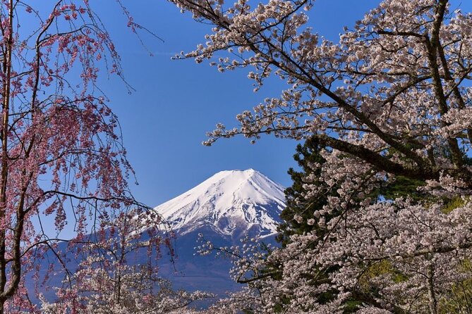 Private Tour to Mount Fuji With an English Driver From Tokyo - Accessibility and Requirements