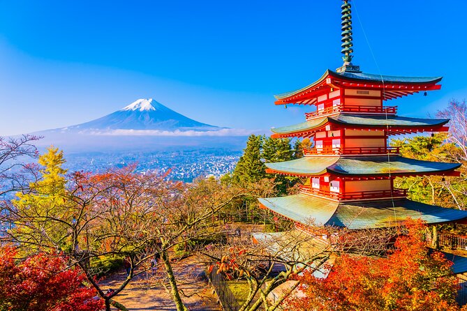 Private Sightseeing Tour to Mt Fuji and Hakone Guide - Key Takeaways