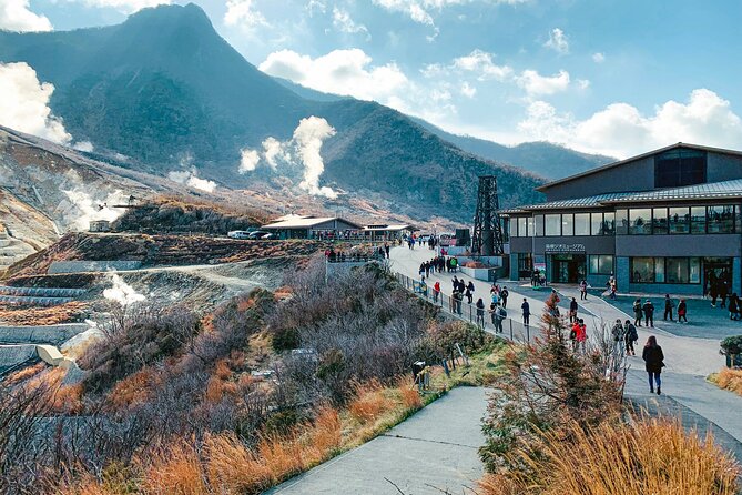 Private Sightseeing Tour to Mt Fuji and Hakone Guide - What to Expect