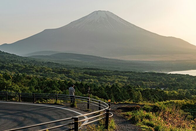 Private Sightseeing Tour to Mt Fuji and Hakone Guide - Pricing and Booking