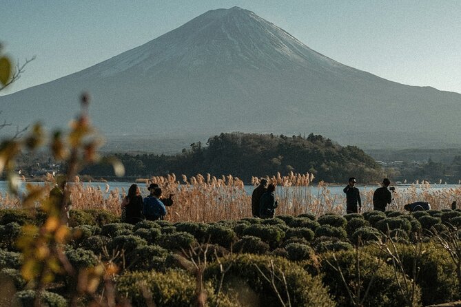 Private Sightseeing Tour to Mt Fuji and Hakone Guide - Cancellation Policy