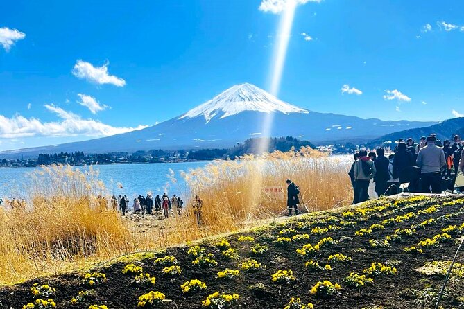 Mount Fuji Full Day Private Tour - Key Takeaways