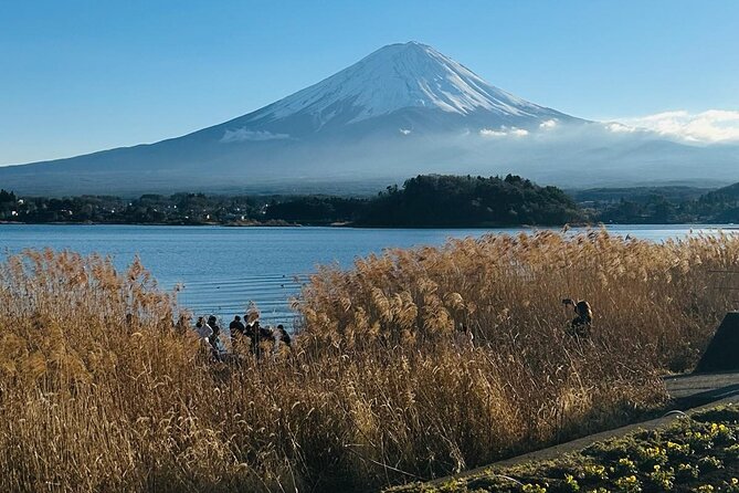 Mount Fuji Full Day Private Tour - Additional Info