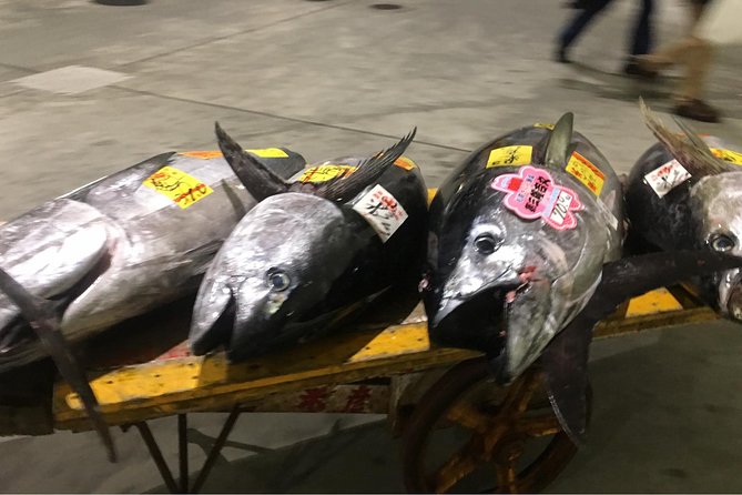 Tuna Auction and Market Tour at Activity Maison Kissako - Meeting and Pickup Information