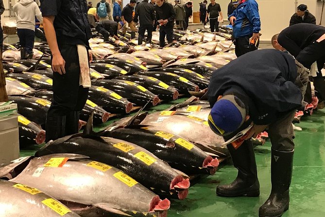 Tuna Auction and Market Tour at Activity Maison Kissako - Tour Highlights and Inclusions