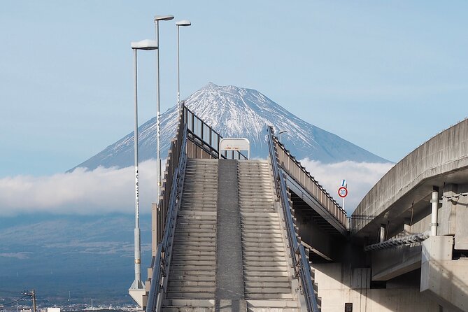 Mt. Fuji Highlight Photo Spots One Day Tour - Local Cuisine Experience