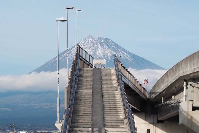 Scenic Mt.Fuji and Hakone : Owakudani , Skywalk & Yumeno Ohashi - Conclusion