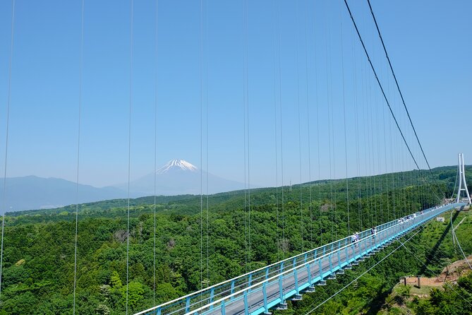 Scenic Mt.Fuji and Hakone : Owakudani , Skywalk & Yumeno Ohashi - Tips for a Memorable Experience