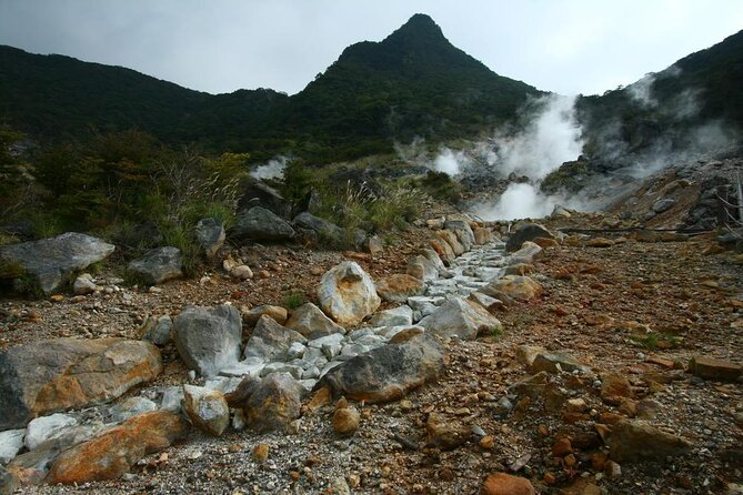 Tokyo to Hakone: Mt.Fuji, Owakudani, Oshino Hakkai, and More - Key Takeaways