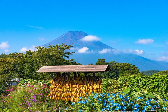 Tokyo to Hakone: Mt.Fuji, Owakudani, Oshino Hakkai, and More - Unforgettable Experiences on the Journey