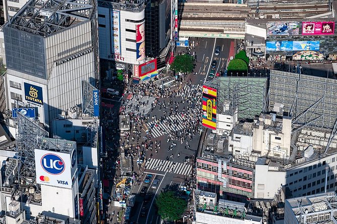 [30Minutes] Asakusa/Tokyo Skytree+Tokyo City Central Tour - Reviews and Rating Details