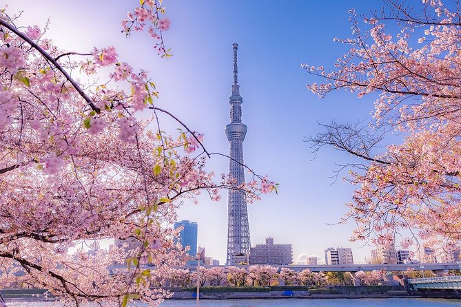 Tokyo Asakusa Half Day Walking Tour With Local Guide - Frequently Asked Questions