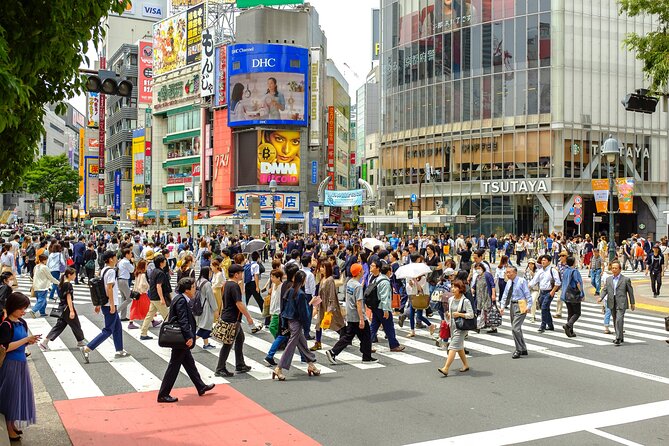 Introductory Tokyo Tour for the First Timers: Learn Basic Travel Tips and Tricks - Key Takeaways