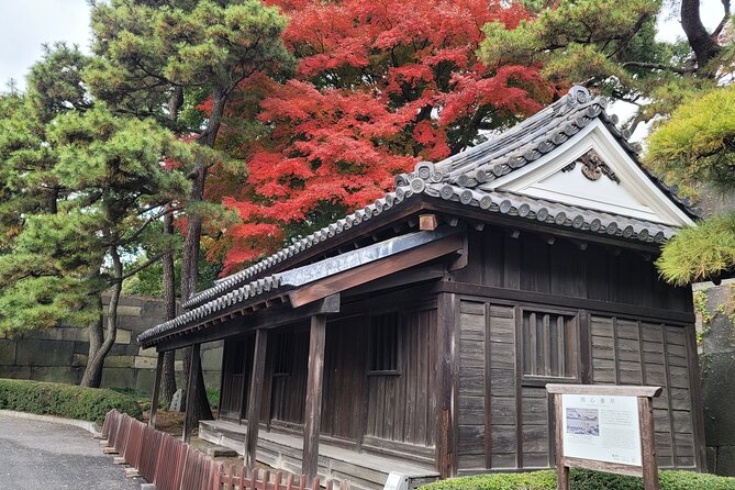 Tokyos Imperial Palace & Nihonbashi Tour - Highlights of the Tour