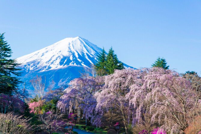 Mt. Fuji's Fifth Station & Lake Kawaguchiko Cycling Tour - Conclusion