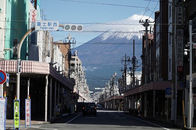 Private Transport Mt Fuji and Hakone 1 Day Trip - Route Options and Itinerary