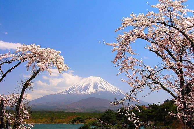 Private Transport Mt Fuji and Hakone 1 Day Trip - Conclusion