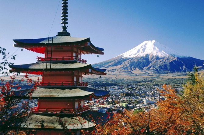 Private Transport Mt Fuji and Hakone 1 Day Trip - Accessibility Information