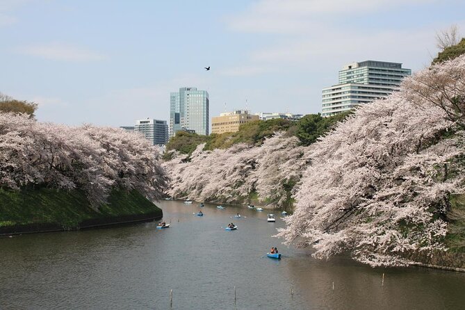 Tokyo Cherry Blossoms Blooming Spots E-Bike 3 Hour Tour - Key Takeaways