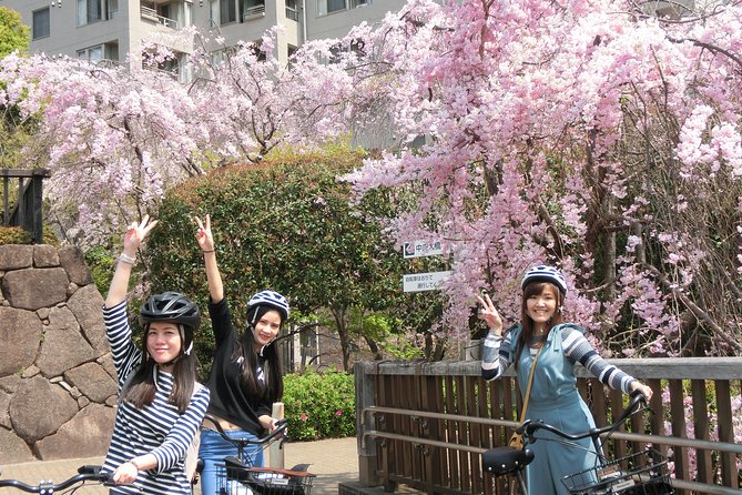 Tokyo Cherry Blossoms Blooming Spots E-Bike 3 Hour Tour - Customer Experiences