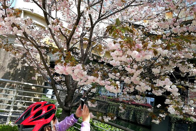 Tokyo Cherry Blossoms Blooming Spots E-Bike 3 Hour Tour - Conclusion