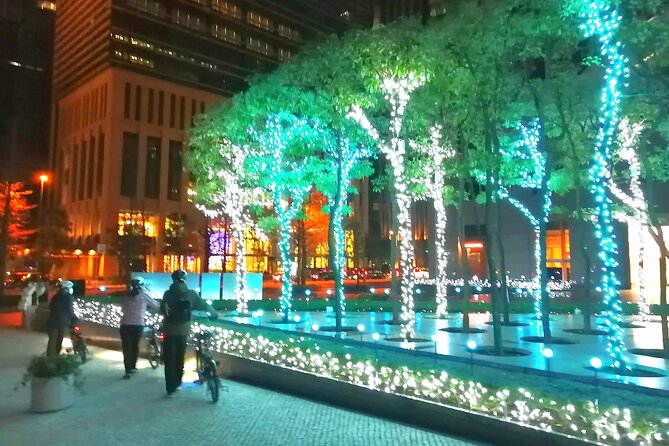 Tokyo Winter Illumination Tour - Frequently Asked Questions