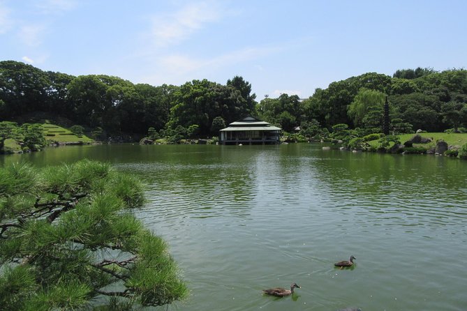 Tokyo by Bike: Skytree, Kiyosumi Garden and Sumo Stadium - Practical Information