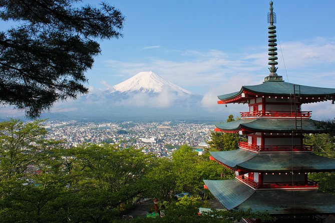 Mt Fuji Day Trip With Private English Speaking Driver - Whats Included