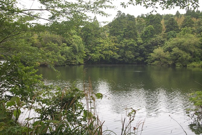 Rural Japan Cycling Tour to the Rich Nature Area in Ichinomiya - Conclusion