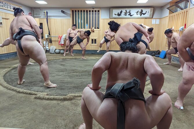 Morning Sumo Practice Viewing in Tokyo - Schedule