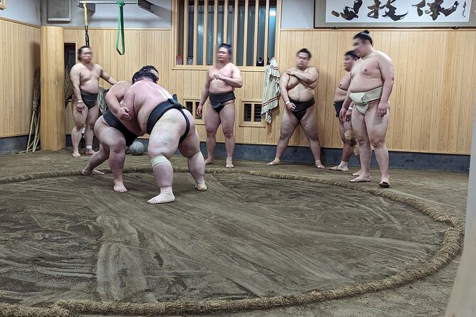 Morning Sumo Practice Viewing in Tokyo - Reviews