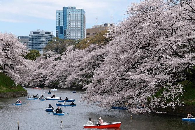 Tokyo Like a Local: Customized Private Tour - Inclusions