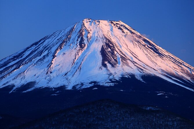 Tokyo: Mt. Fuji 5th Station, Lake Kawaguchi and Gotemba Outlets - Important Additional Information