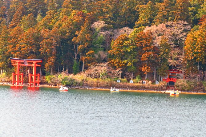 Tokyo: Hakone and Owakudani and Lake Kawaguchi Day Tour - Cancellation Policy