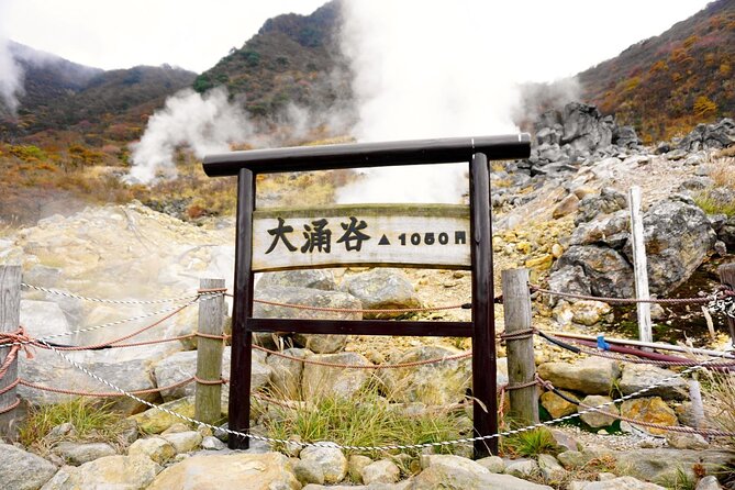 Tokyo: Hakone and Owakudani and Lake Kawaguchi Day Tour - What To Expect