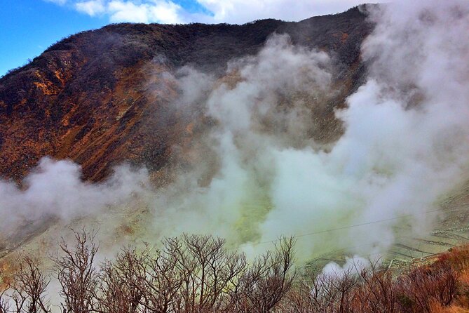 Tokyo: Hakone and Owakudani and Lake Kawaguchi Day Tour - Additional Information