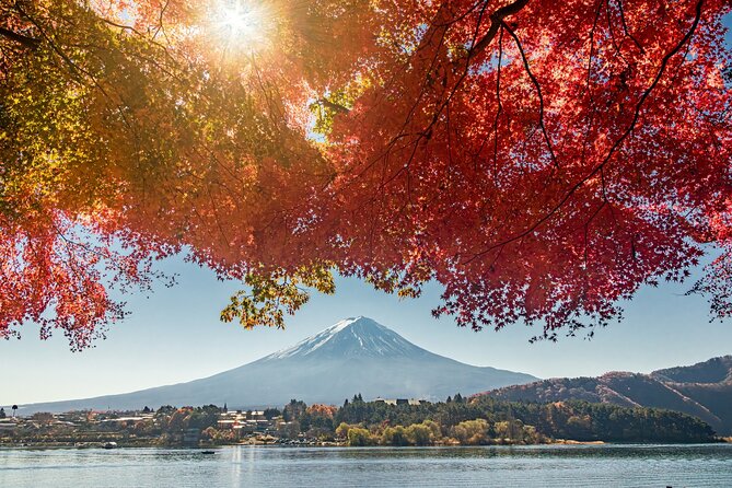 Tokyo: Hakone and Owakudani and Lake Kawaguchi Day Tour - Frequently Asked Questions