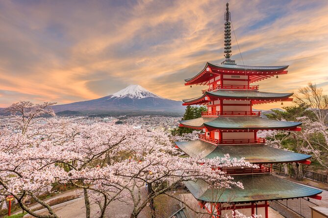 Custom 2-Day Tour: Mt Fuji and Tokyo Private Car & English Driver - Pickup Information